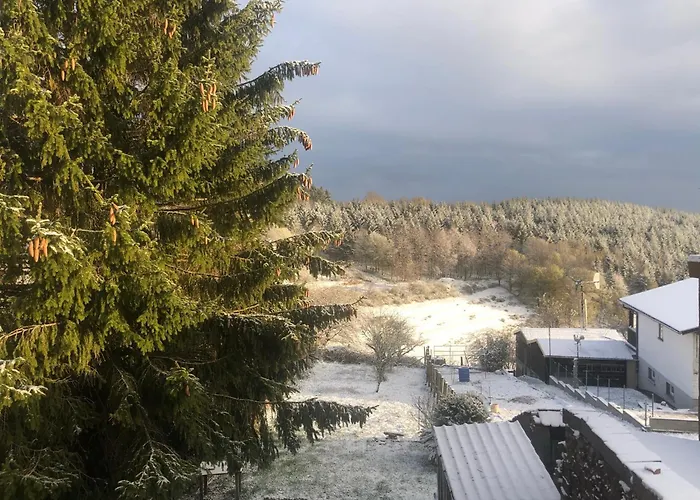 Petit Coin De Bonheur - 3 & 1 Poele A Bois *